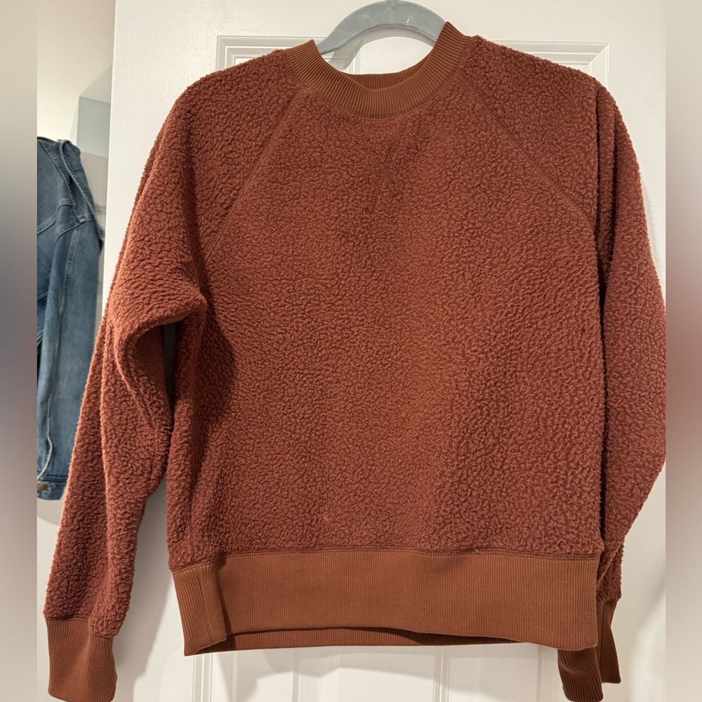 Rust Everlane Teddy Crewneck